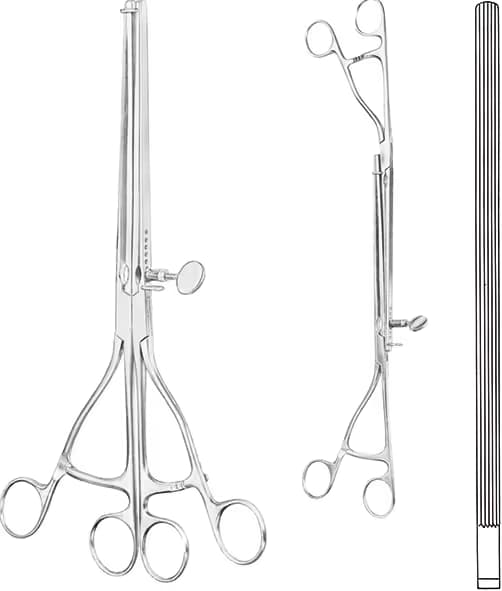 BARSAK KLEMPİ LANE 31CM DÜZ