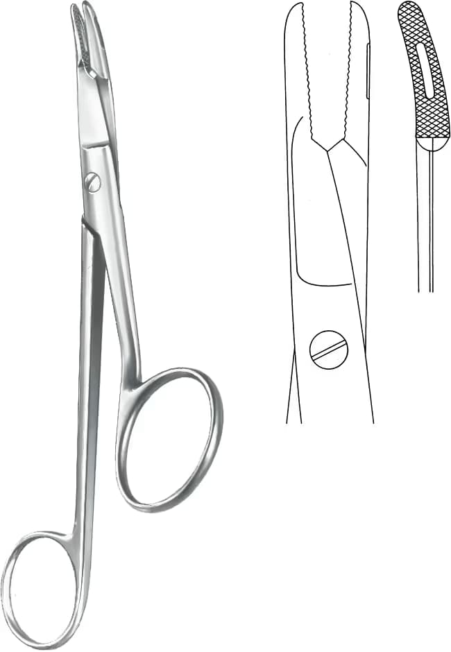Makaslı Portegü GILLIES 15CM