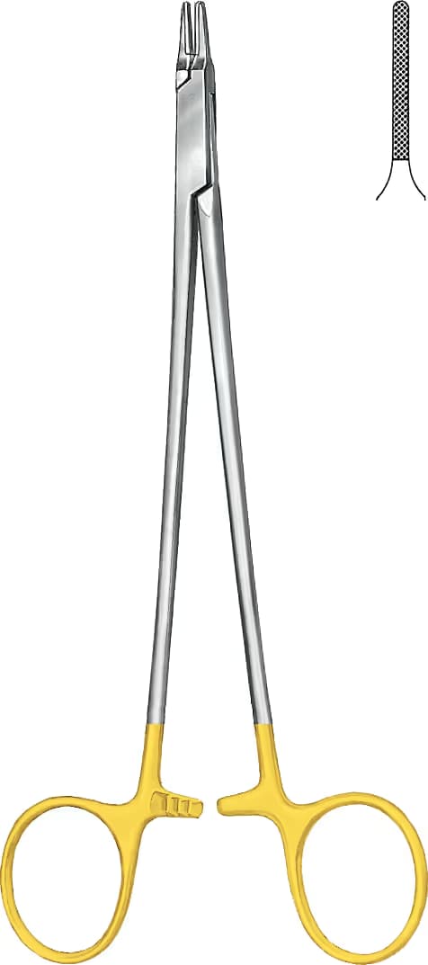 HM PORTEGÜ RYDER 26CM
