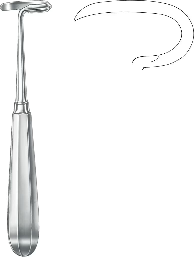RASPARATOR DOYEN 17,5CM SOL EĞRİ .