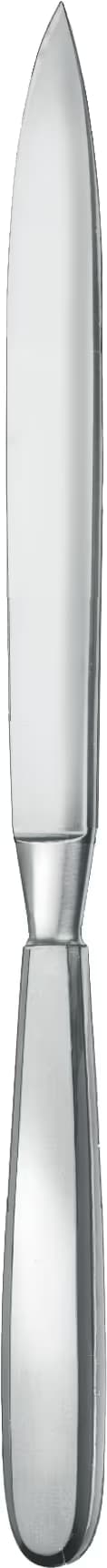 CERRAHİ BIÇAK LISTON 19CM