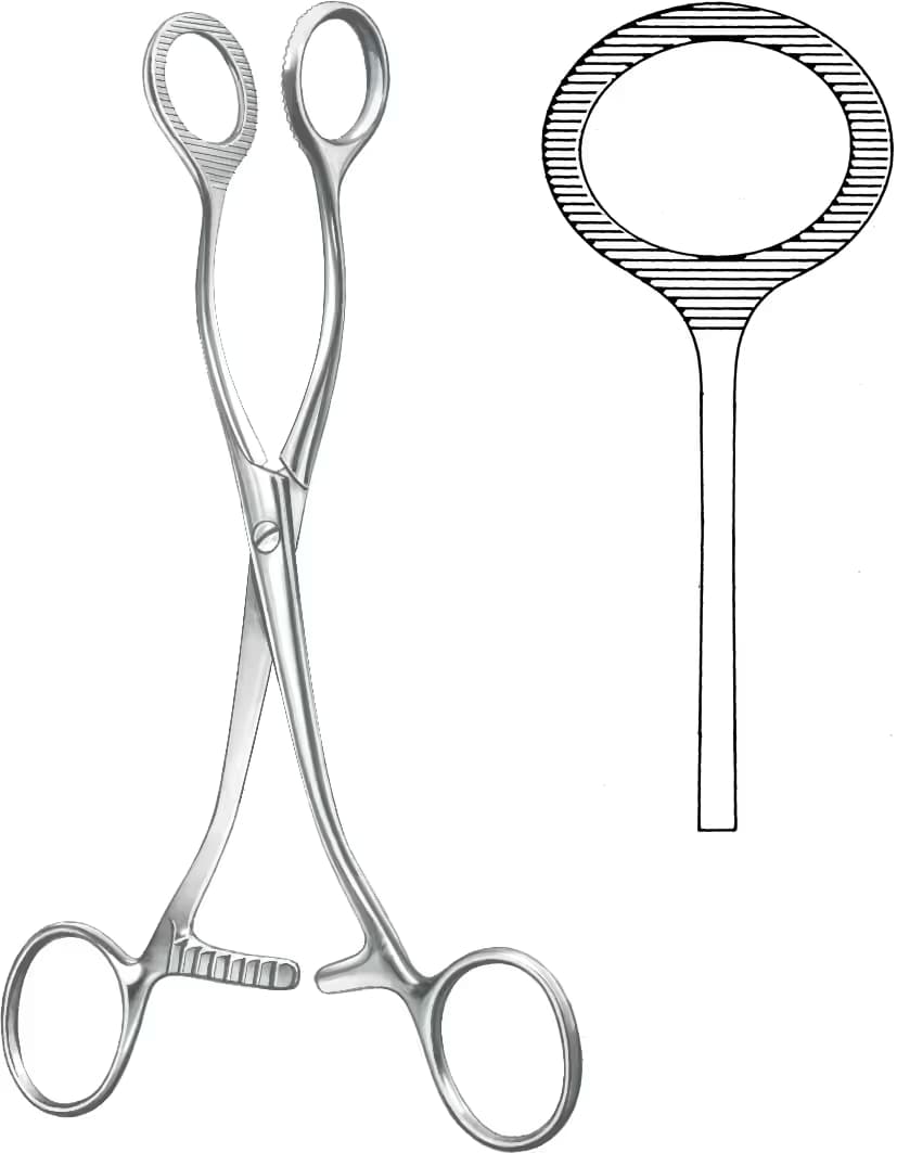 SPANÇ VE TEMİZLİK KLEMPİ COLLIN 17CM