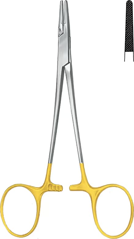 HM PORTEGÜ HALSEY 13CM
