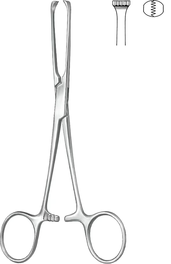 KLEMP ALLIS 25CM 5X6 DISLI