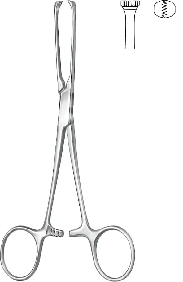 KLEMP ALLIS 15CM 5X6 DİŞLİ