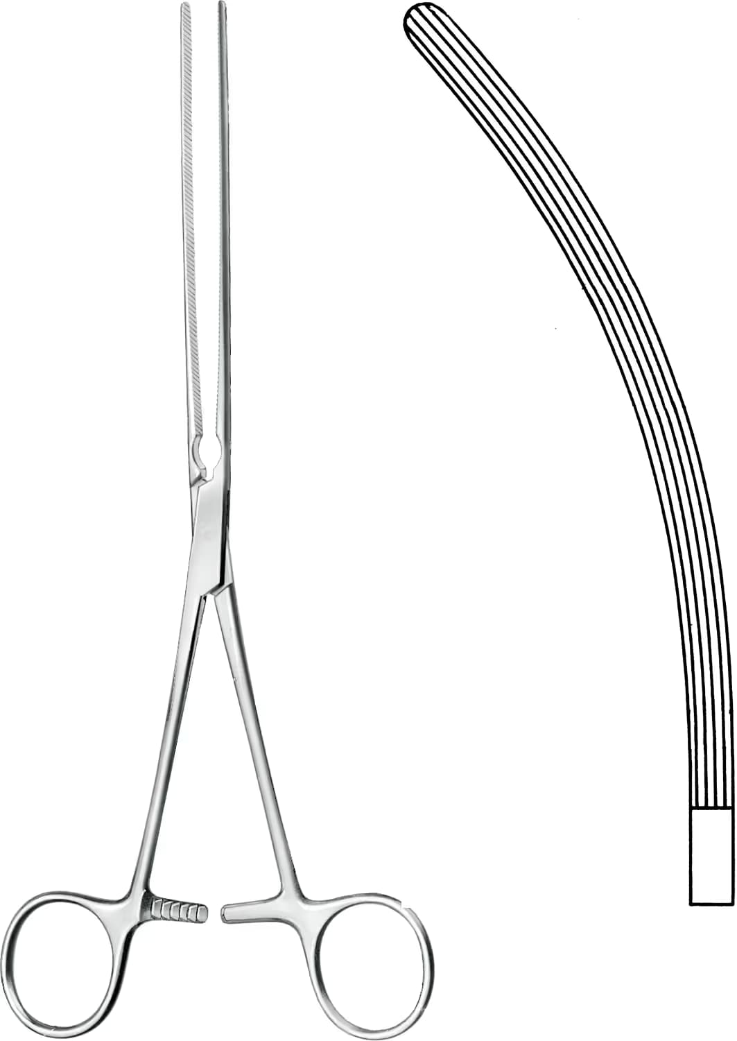 BARSAK KLEMPİ MAYO-ROBSON 25CM EĞRİ