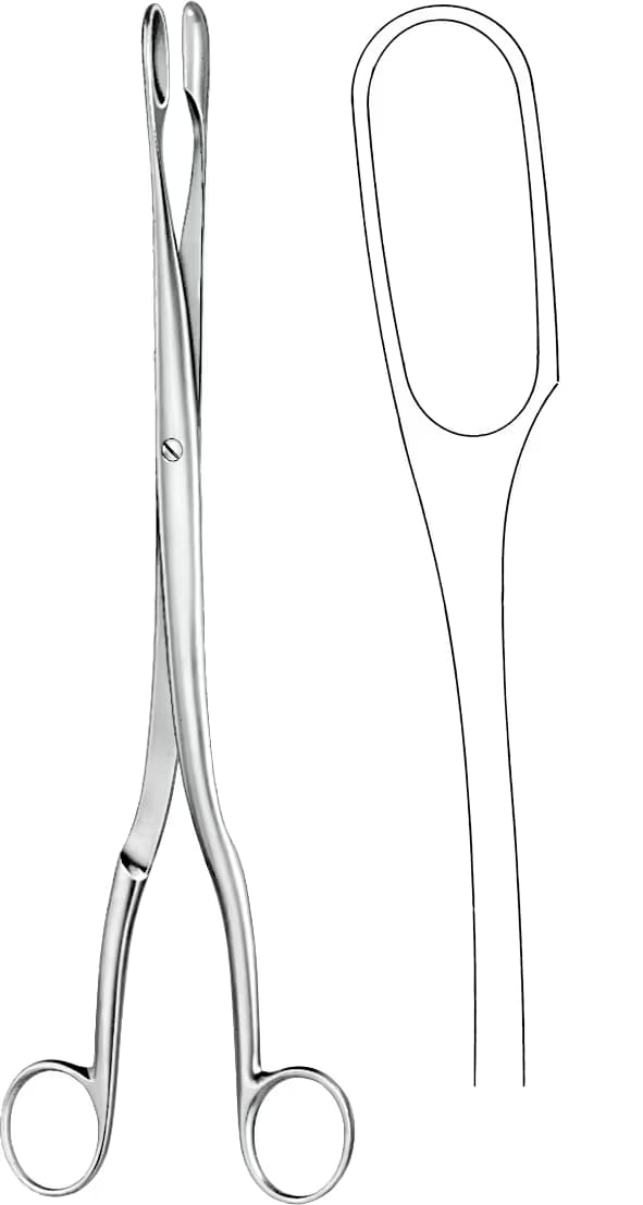 PLASENTA OVUM KLEMP WINTER 29CM EĞRİ F.2
