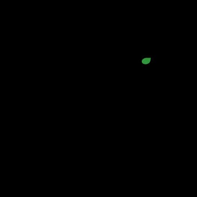 BİPOLAR PENSET İZOLELİ BAYONET 17,5 cm 1,0mm