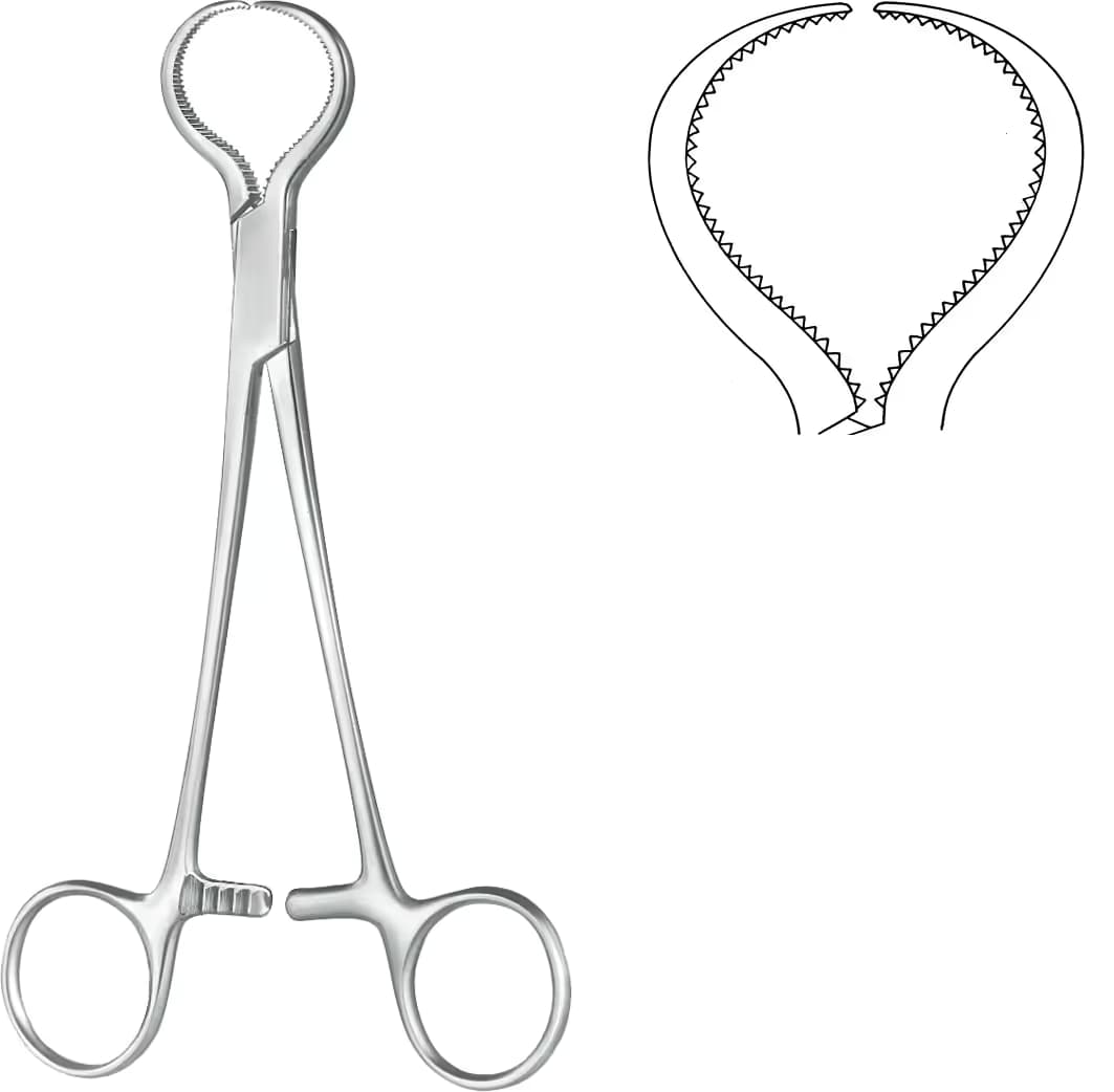 KEMİK KLEMPİ LEWIN 18,5cm