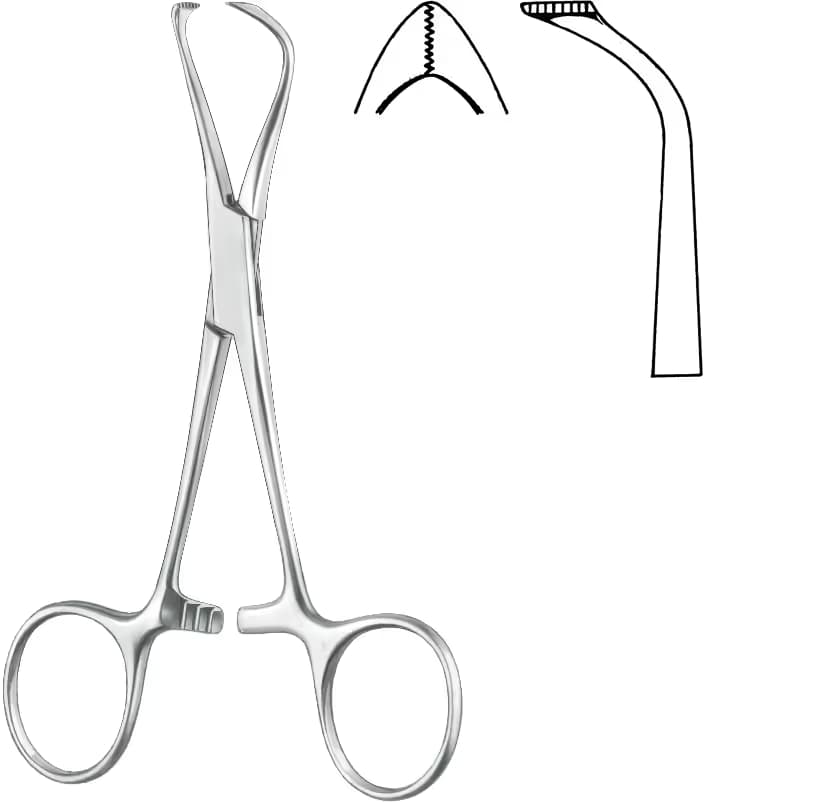 ÇAMAŞIR KLEMP LORNA 10CM