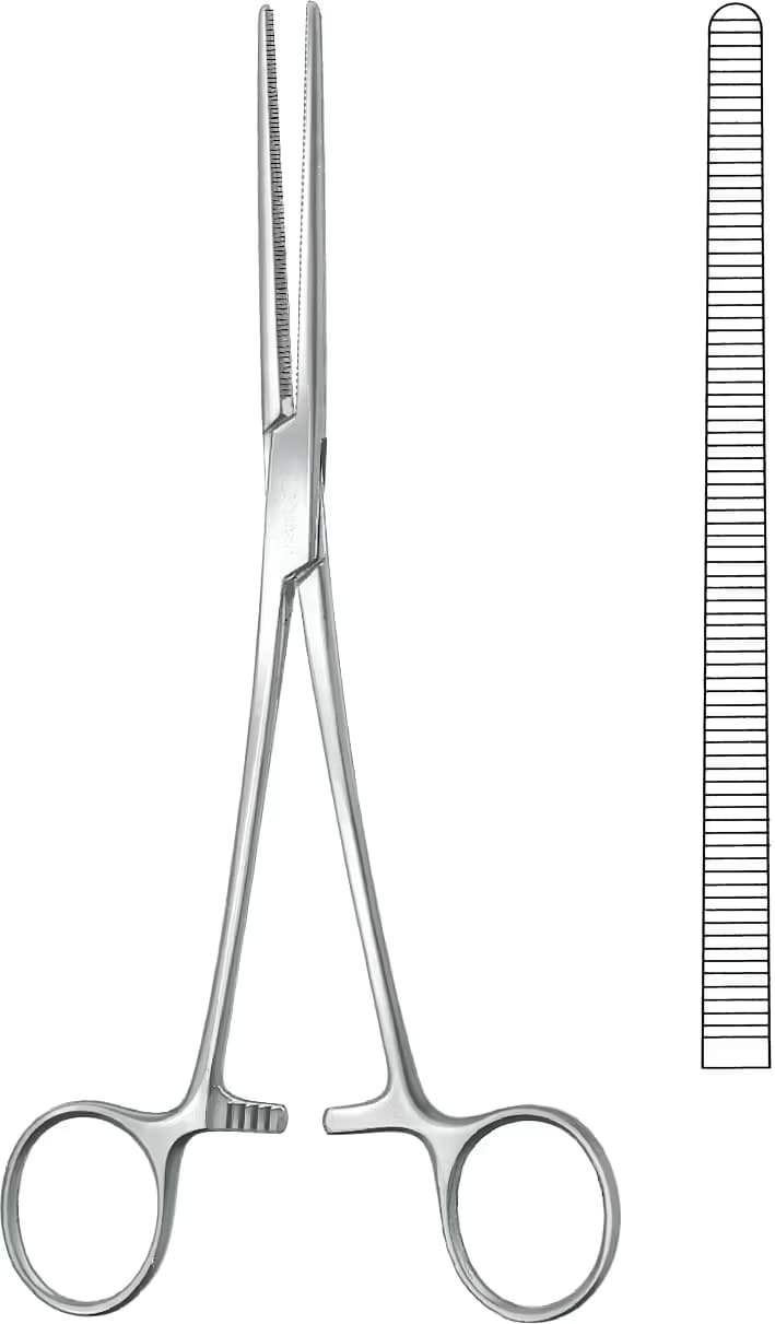 KLEMP ROCHEASTER-PEAN DUZ 24CM