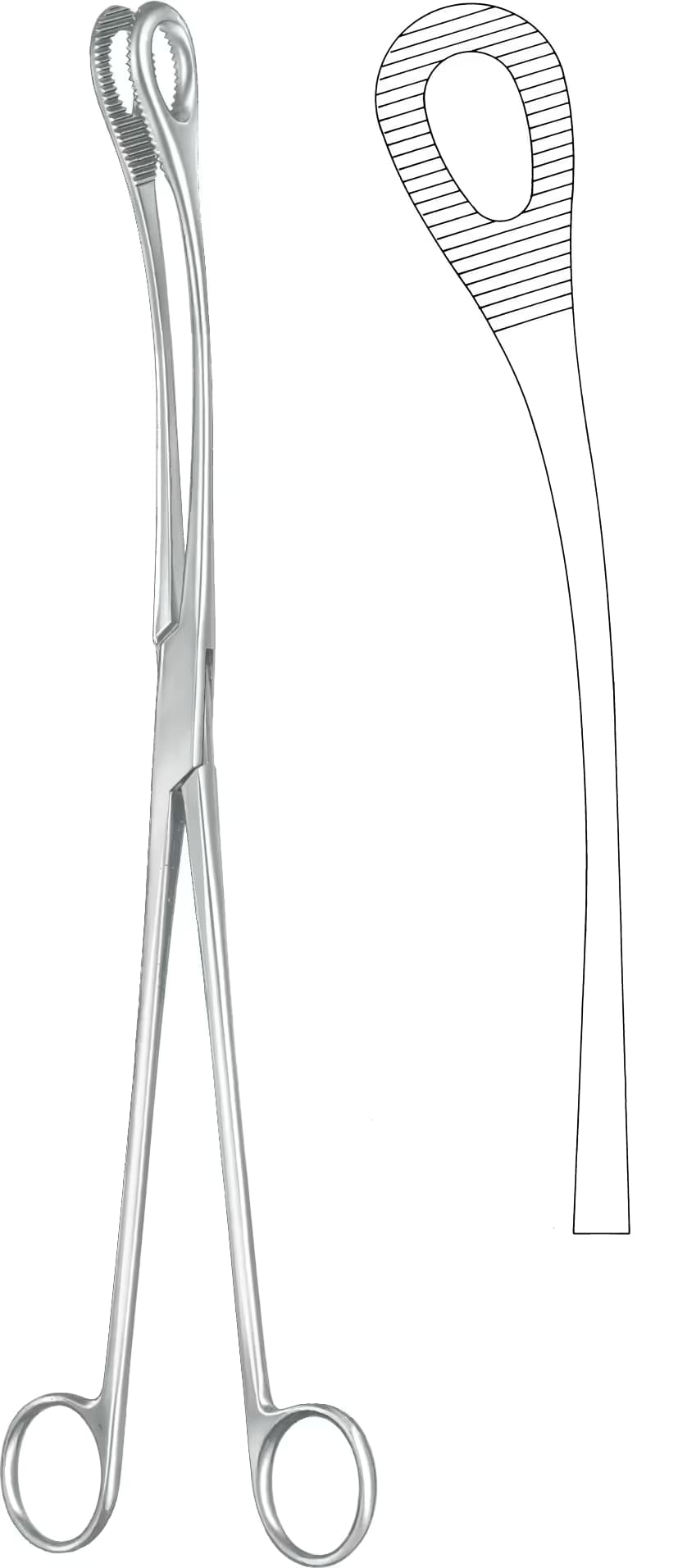 SPANÇ VE TEMİZLİK KLEMPİ KELLY 32CM