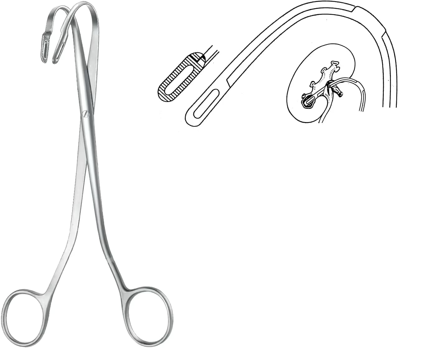 TAŞ KLEMPİ RANDALL 19CM F.2
