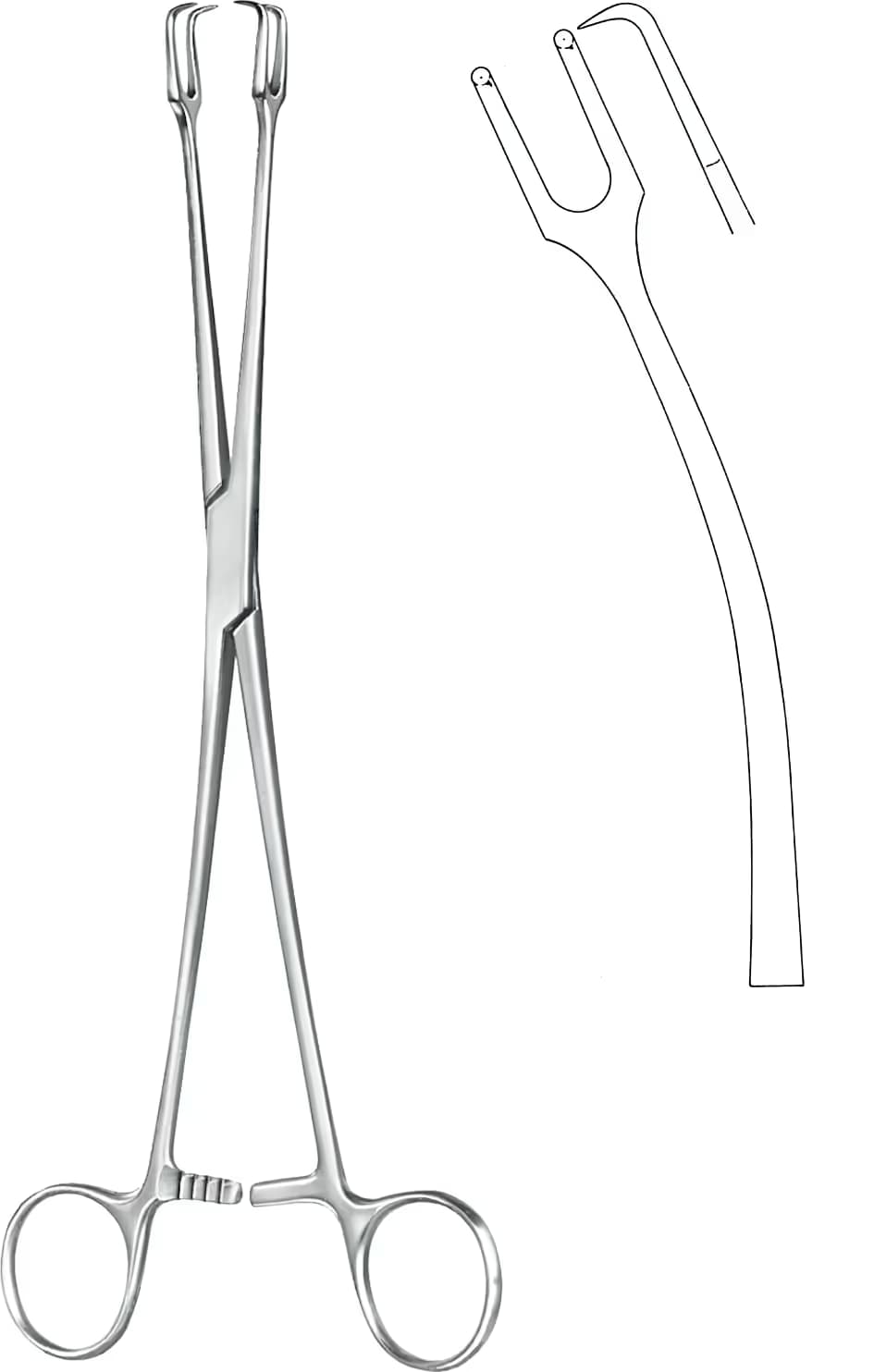 TENEKULUM KLEMP SCHRODER 25cm EĞRİ 2DİŞLİ