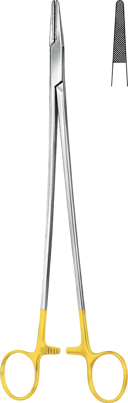 HM PORTEGÜ WANGENSTEEN 27CM