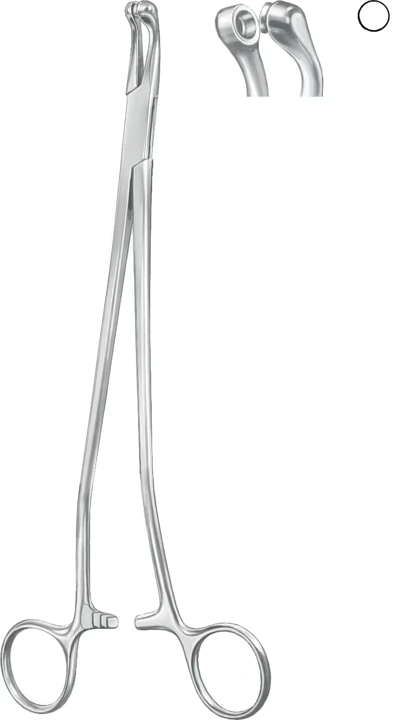 THOMSGAYLOR BIOPSI FORCEPS 21cm