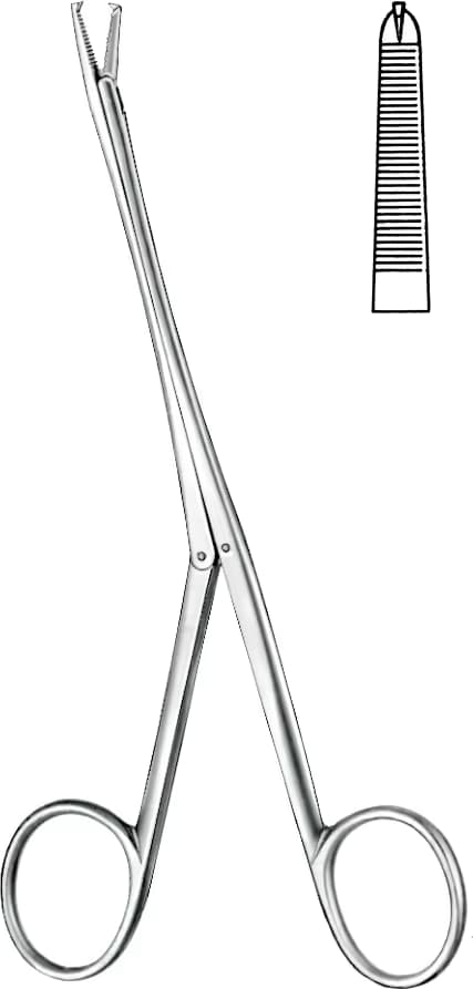 TENDON TUTUCU BRAND 24,5CM DÜZ