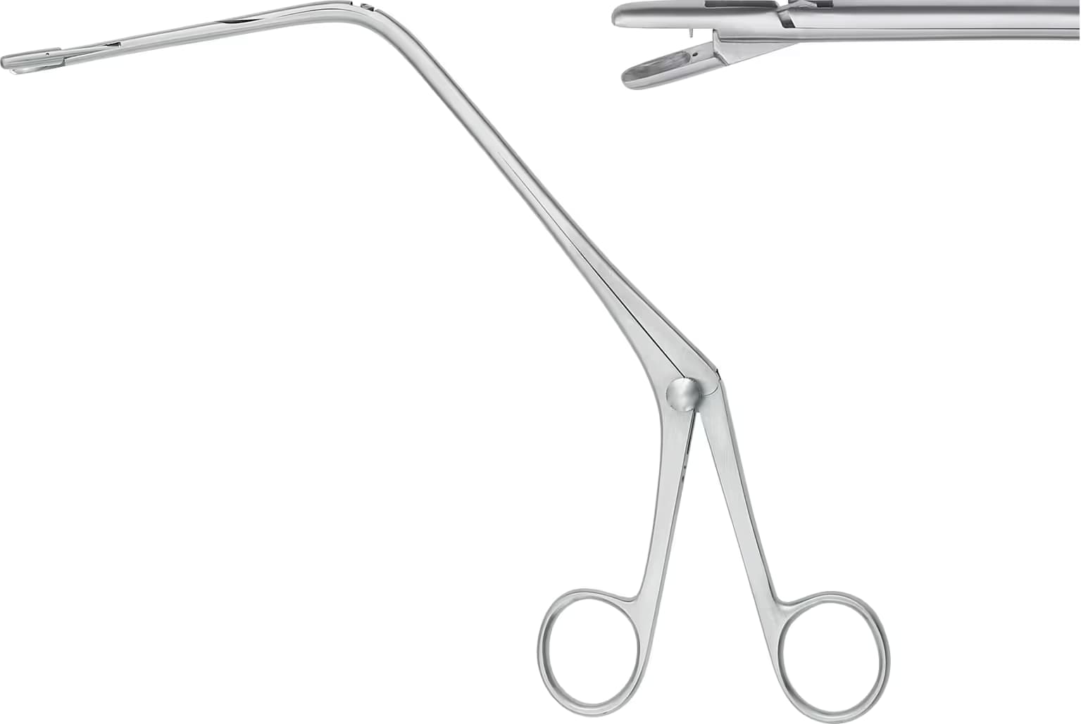 LARENGEL POLIP PENSI JURASZ 22cm YUKARI