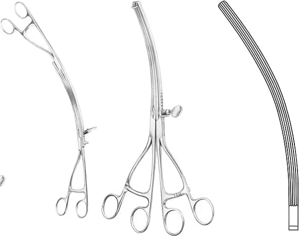 BARSAK KLEMPİ LANE 31CM EĞRİ