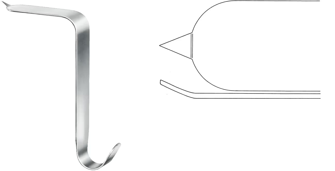 EKARTOR TAYLOR 100X30MM