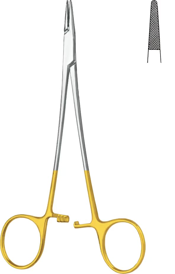 HM PORTEGÜ WEBSTER 13CM