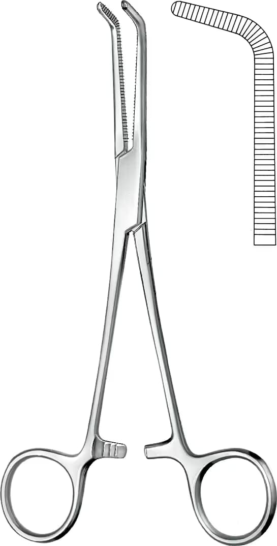 DISEKSIYON PENSI 16CM
