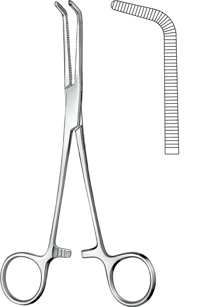 DISEKSIYON PENSI 18CM