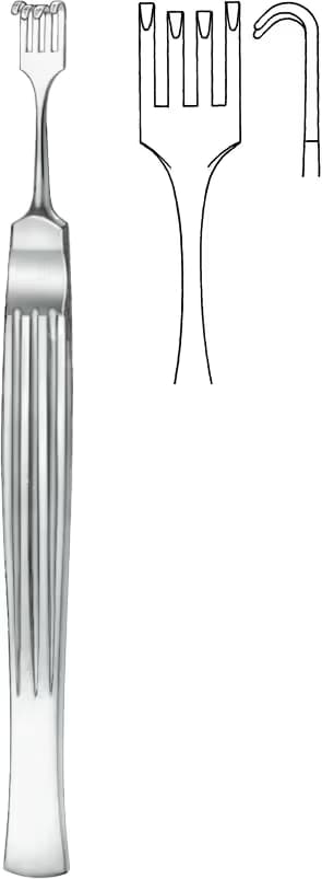 COTTLE EKARTÖR 14cm 4dişli