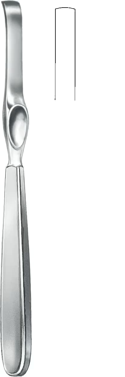 LAMBOTTE RASPARATOR 21,5cm 5mm
