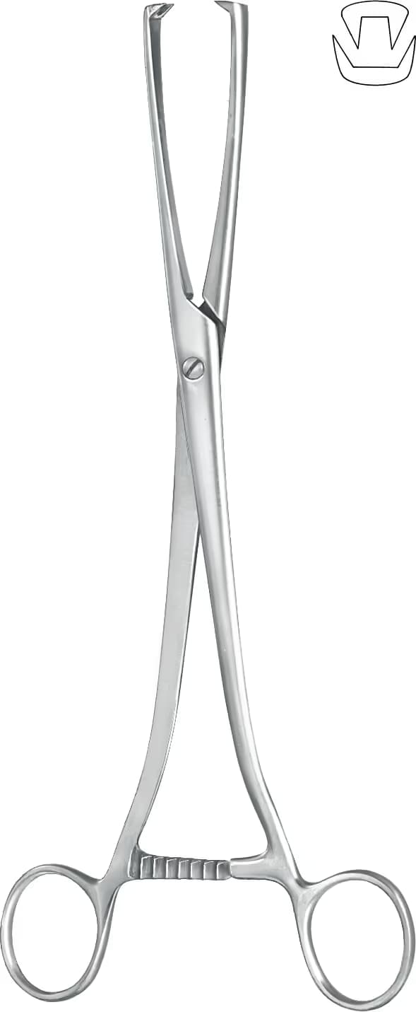 TENEKULUM KLEMP MUSEUX 24CM 2DİŞLİ F.3